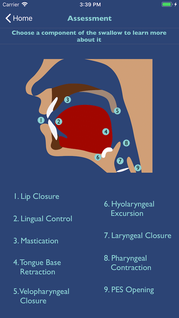 Dysphagia Therapy App for Swallowing Treatment on iOS & Android - SLP