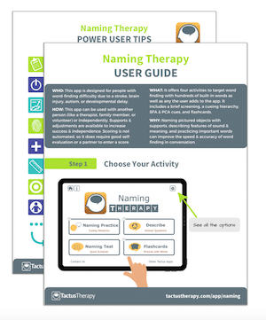 Naming Therapy User Guide Power Tips Preview