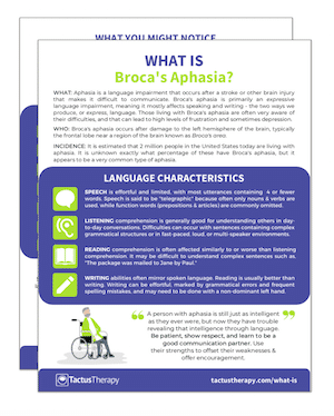 What is Broca's aphasia handout preview