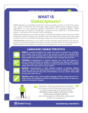 What is Global Aphasia handout preview