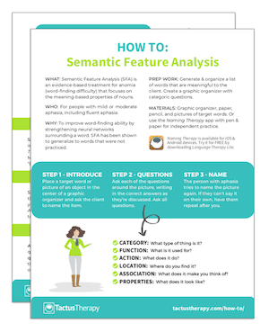 Semantic Feature Analysis Chart Pdf