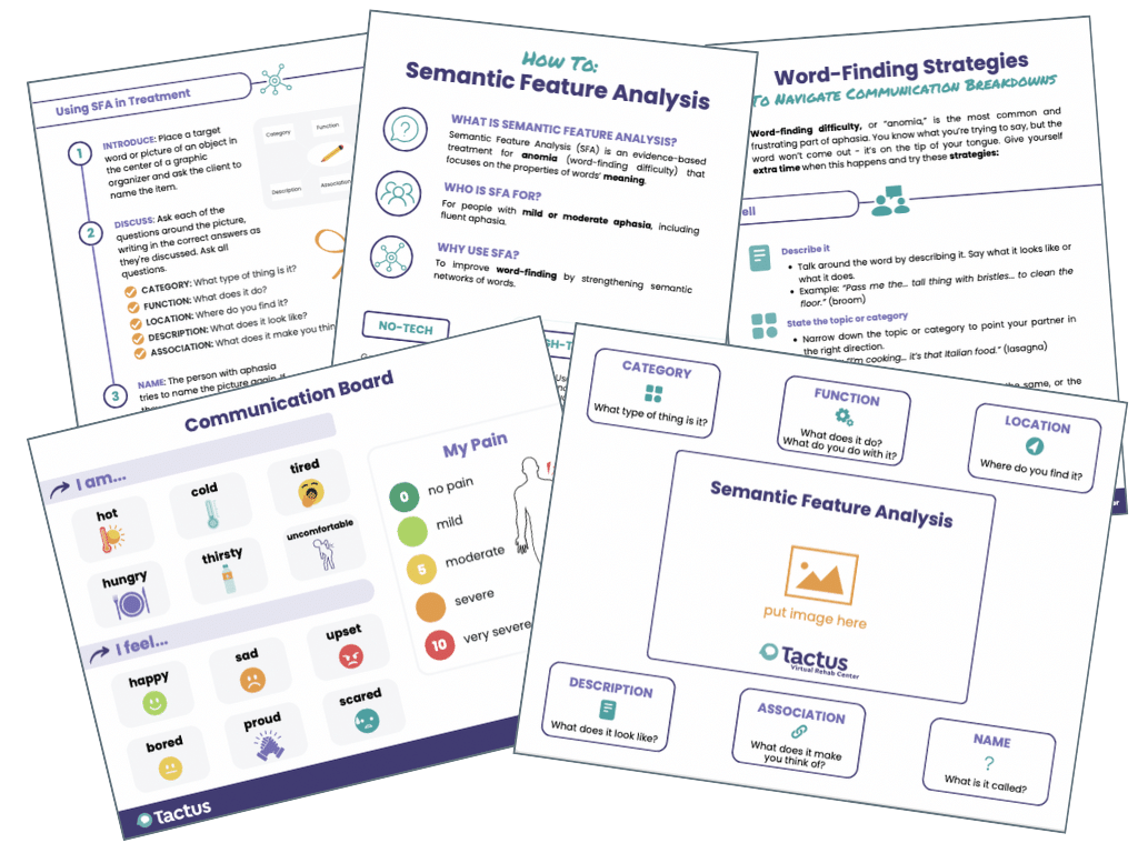 PDF Handouts to support Semantic Feature Analysis and aphasia speech therapy