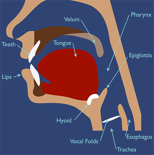 causes of dysphagia