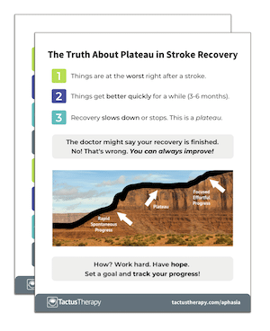 Plateau Handout Aphasia Friendly preview