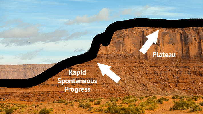 Plateau in Stroke Recovery: Is it true or a myth? How can you get