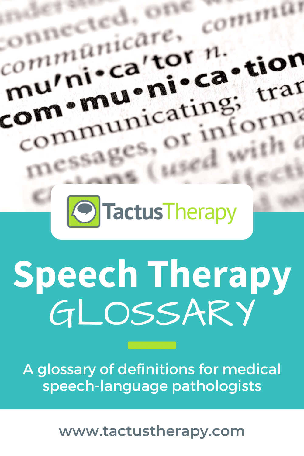 defining vocabulary speech therapy