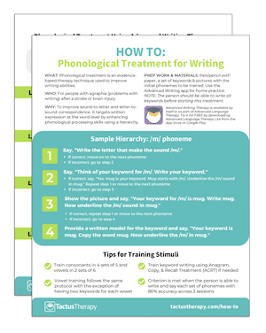 How To Phonological Treatment preview