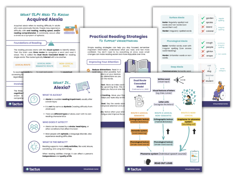 Alexia in Aphasia: Speech Therapy Treatment of Reading